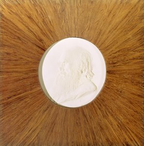 Charles Darwin (1809-82) c.1881 de Alphonse Legros